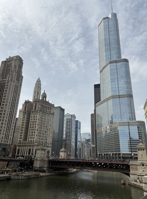 Lobo Amaral Advogados 1775250323037